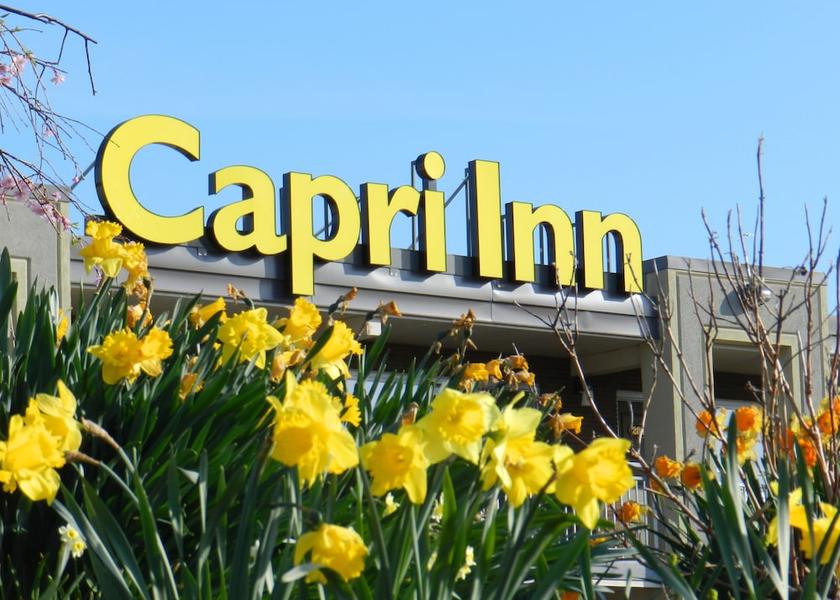 Ontario St. Catharines Facade