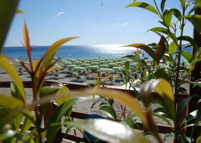 Calabria Gasperina Property Grounds