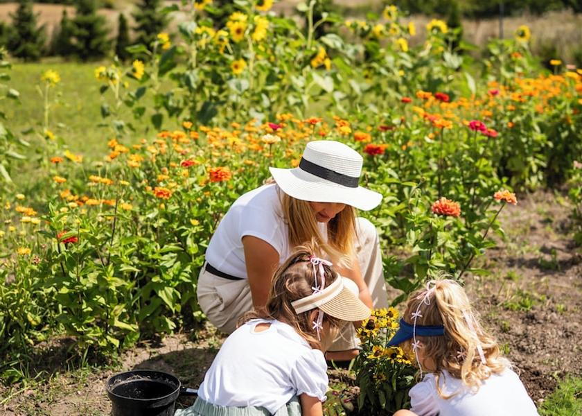 Children's activities