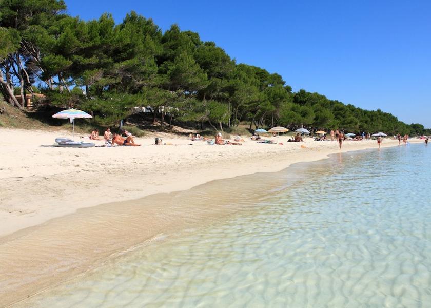 Balearic Islands Santa Margalida Point of interest