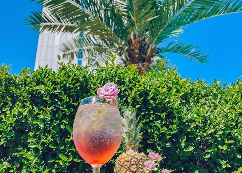 Varna Province Golden Sands Food and drink