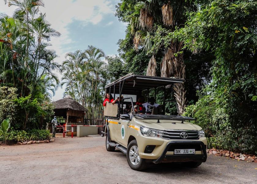 Limpopo Phalaborwa Safari