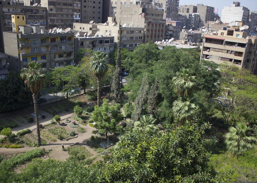 Giza Governorate Giza View From Room