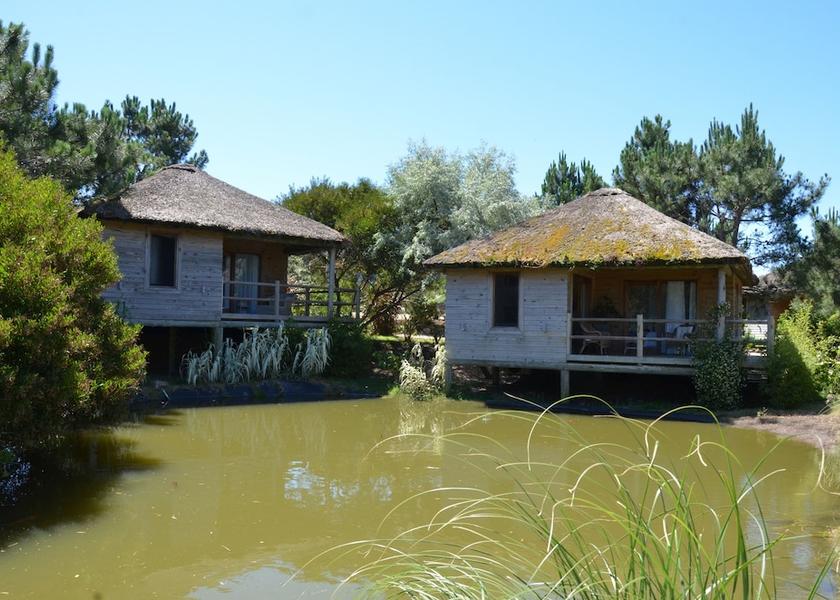 Maldonado Jose Ignacio Room