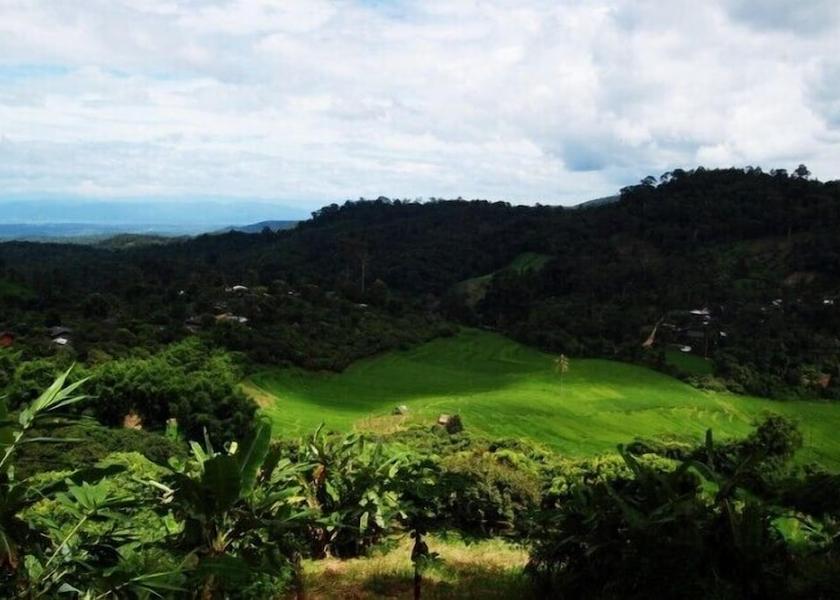 Chiang Mai Province Mae Rim View from Property