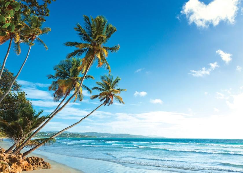 Tobago Lowlands Beach