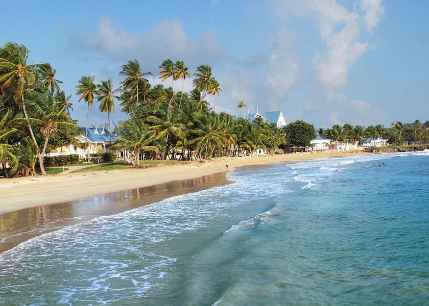 Tobago Lowlands Beach