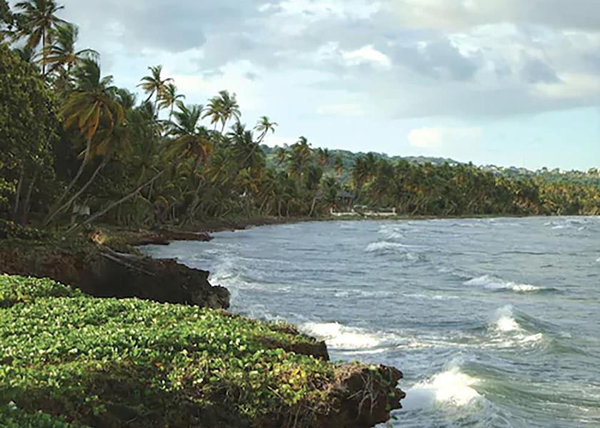 Tobago Lowlands Property grounds