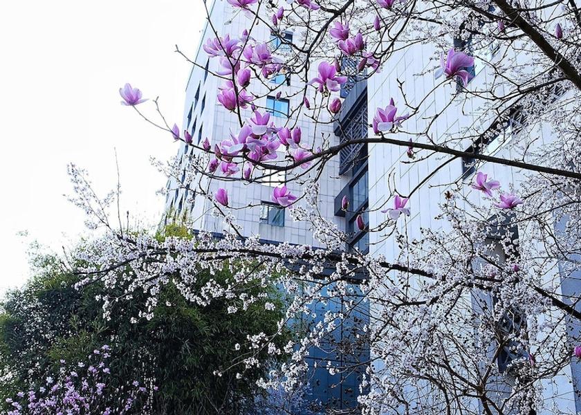 Anhui Huangshan Exterior