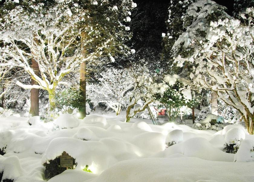 Niigata Agano Property Grounds