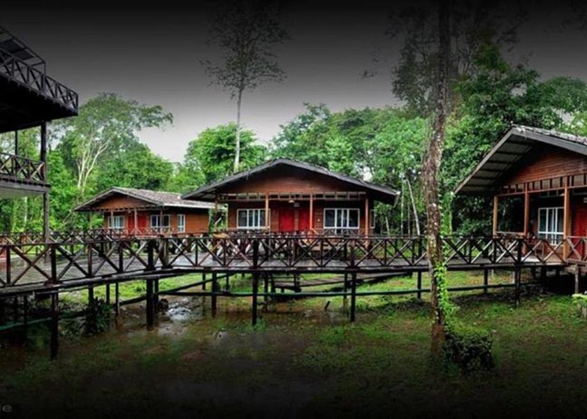 Sabah Kota Kinabatangan 