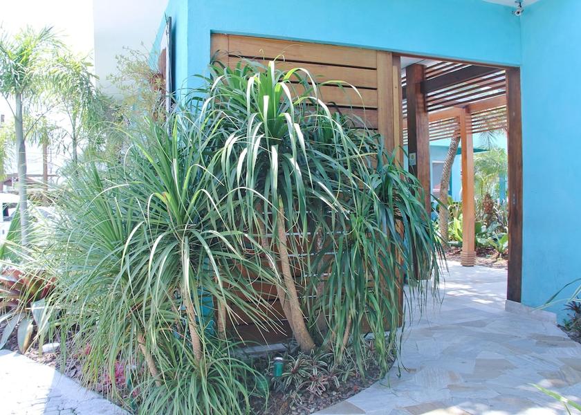 São Paulo State Caraguatatuba Entrance