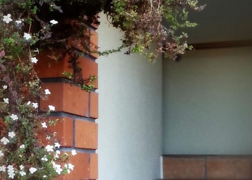 Canterbury Christchurch Staircase