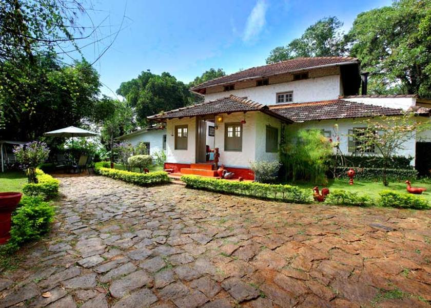 Kerala Munnar Outdoors