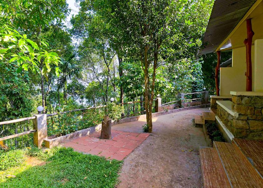 Kerala Munnar Outdoors