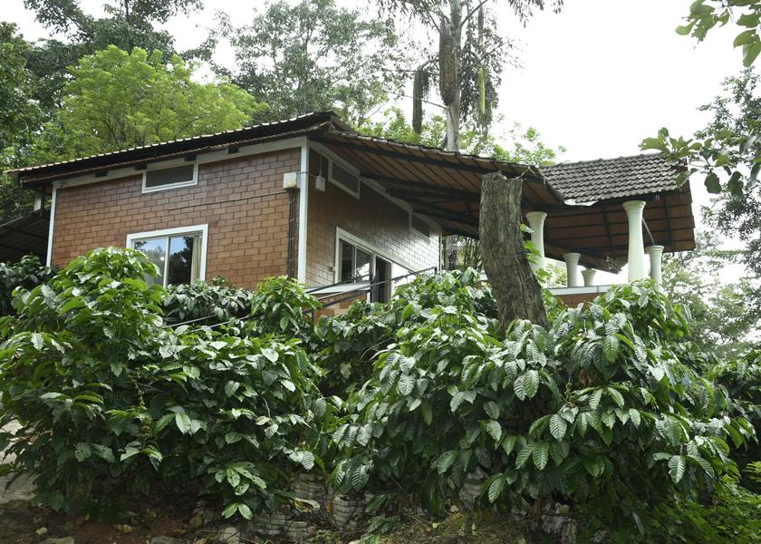Karnataka Chikmagalur Hotel Exterior