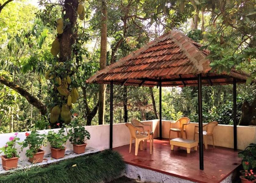 Karnataka Chikmagalur Public Areas