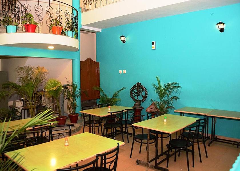 Rajasthan Jaipur Food & Dining