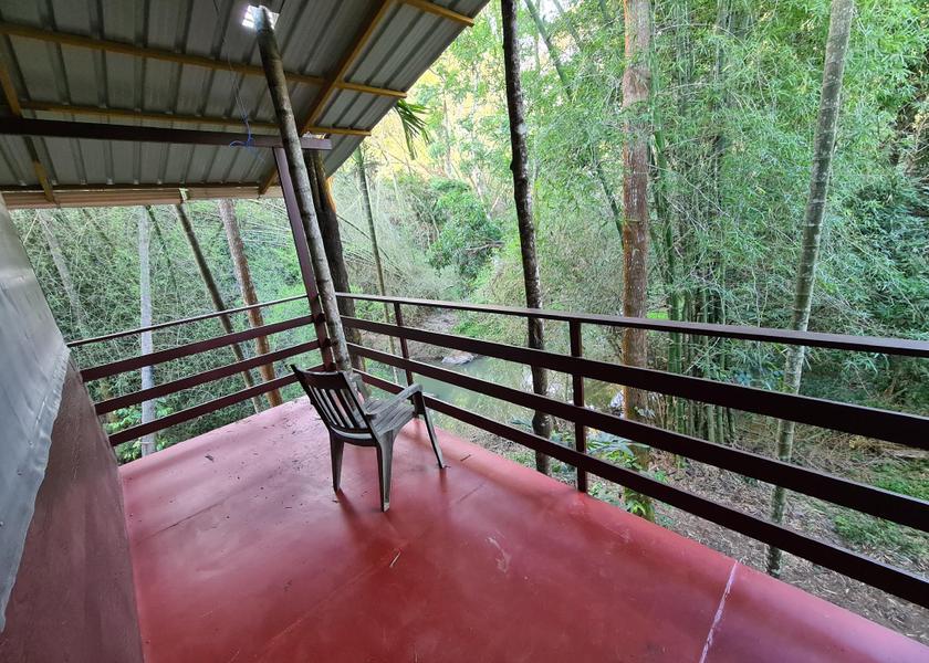Tamil Nadu Mudumalai balcony/terrace