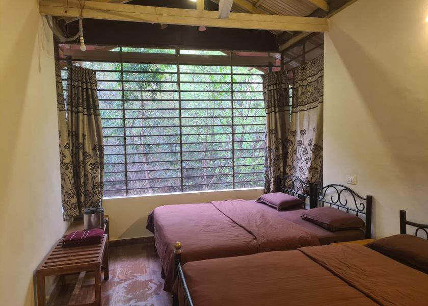 Tamil Nadu Mudumalai interior view