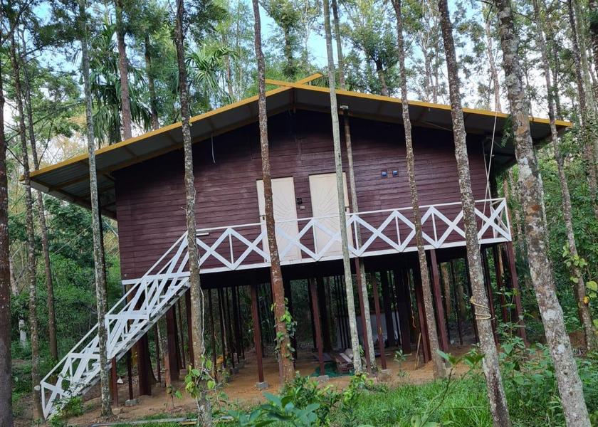 Tamil Nadu Mudumalai Hotel Exterior