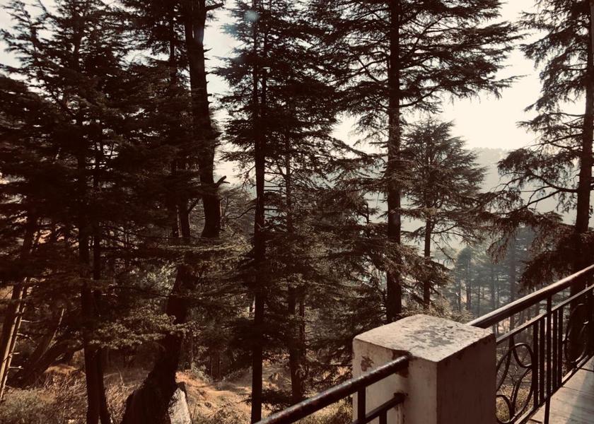 Jammu and Kashmir Patnitop Hotel View