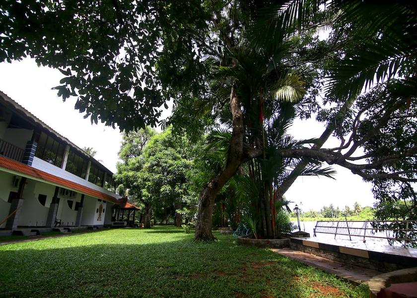 Kerala Alleppey Outdoors