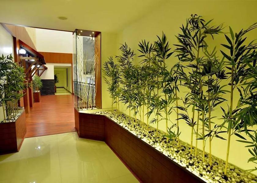 Kerala Kozhikode Public Areas