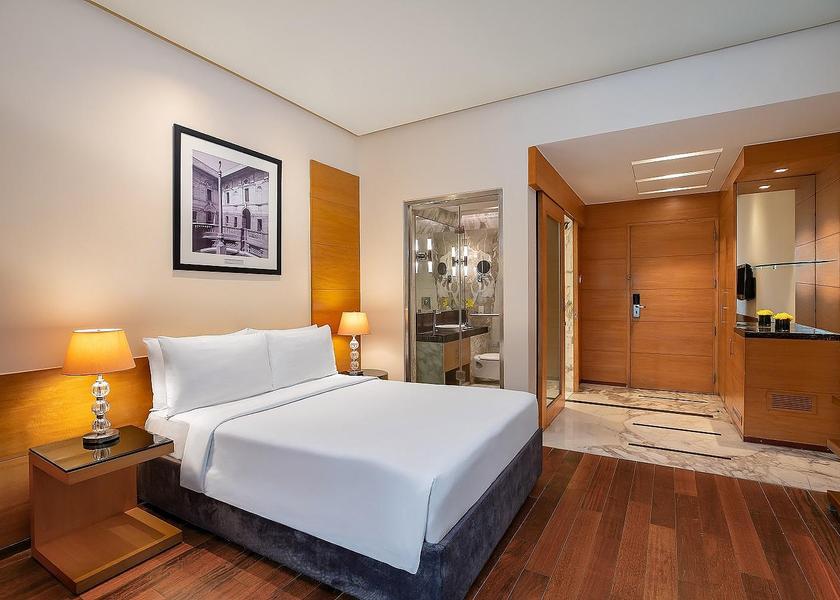 Delhi Delhi Guestroom