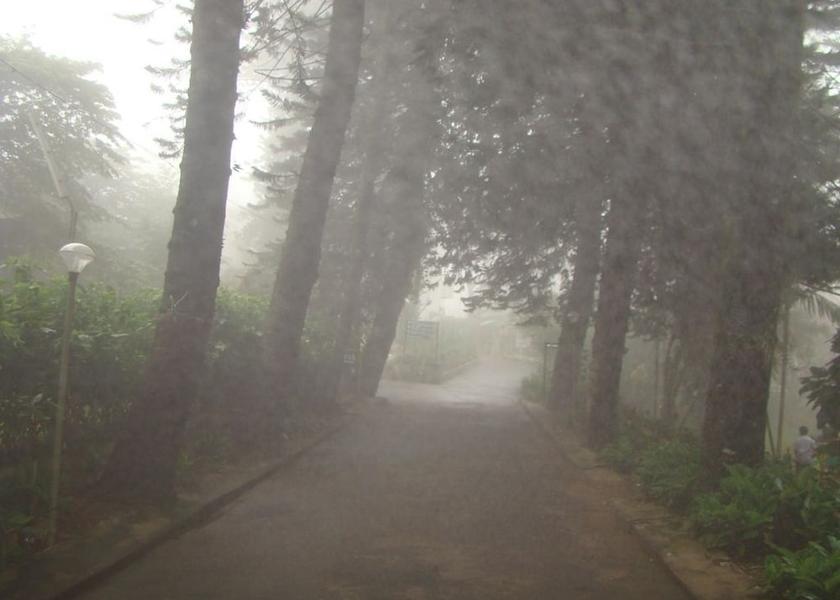 Tamil Nadu Yercaud Hotel View