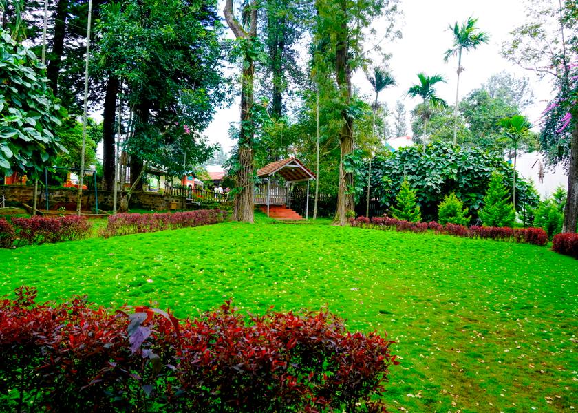 Tamil Nadu Yercaud Outdoors