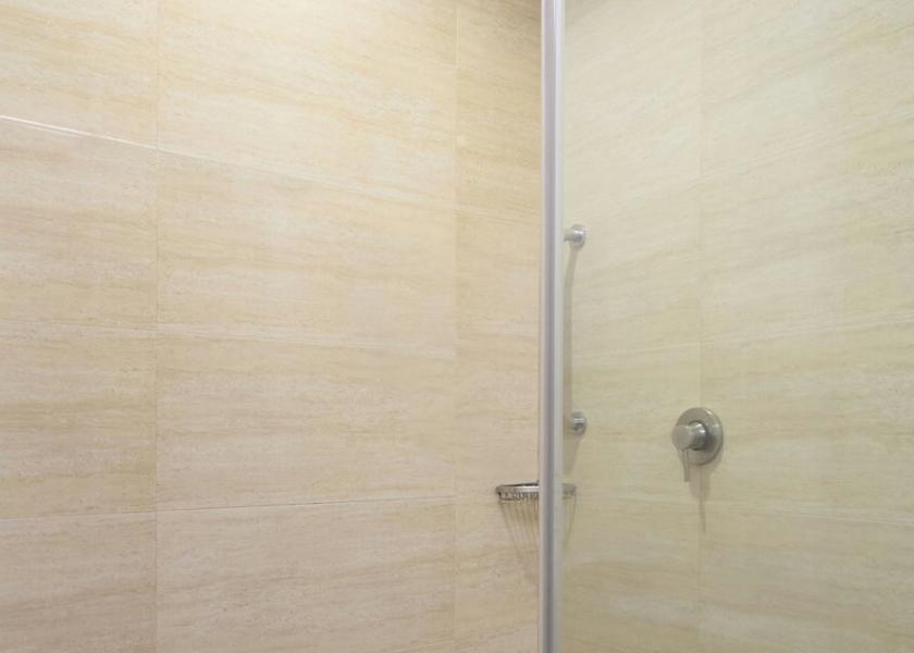Delhi Delhi Guest Bathroom - Walk-In Shower