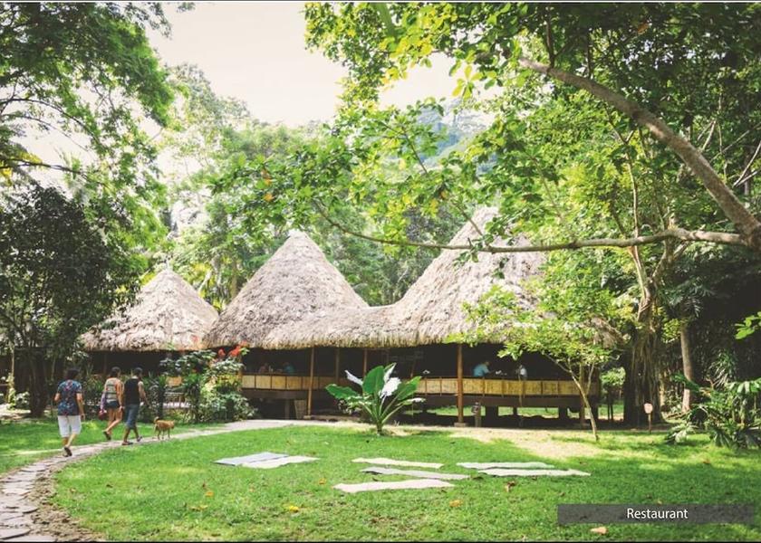 Andaman and Nicobar Havelock Island Garden view