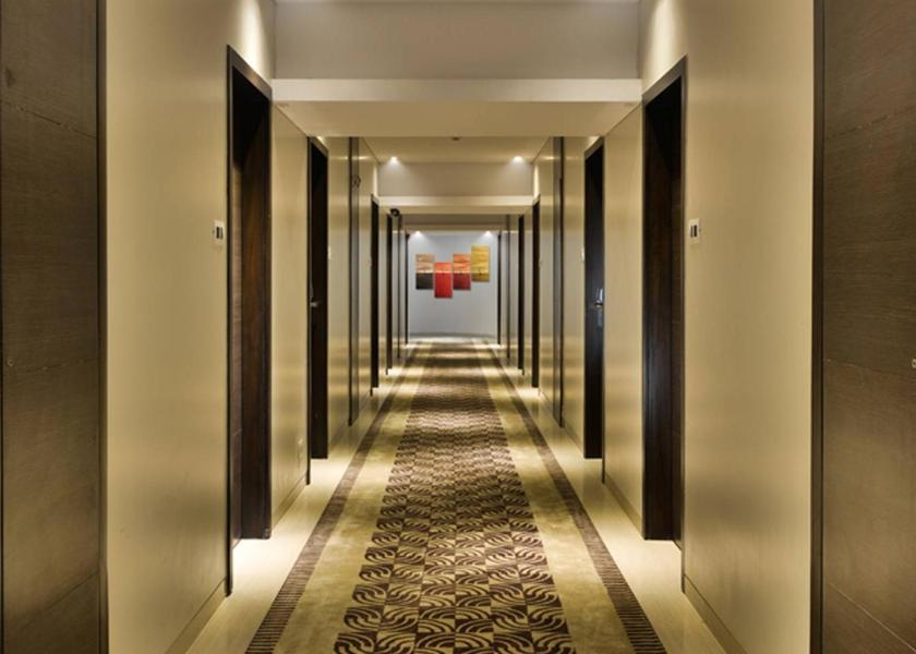 Gujarat Vadodara Public Areas