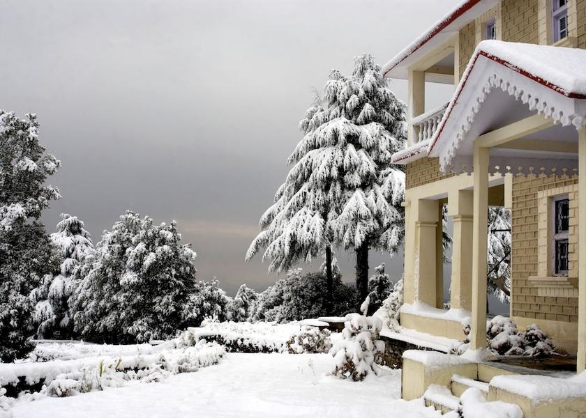 Uttarakhand Binsar Primary image