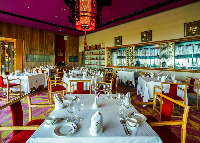 Uttar Pradesh Noida Food & Dining