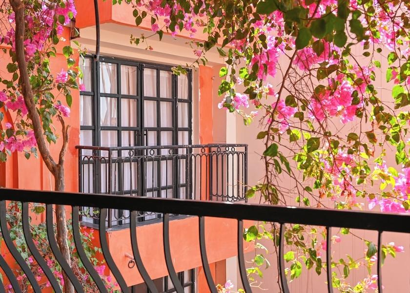 Rajasthan Udaipur Courtyard view