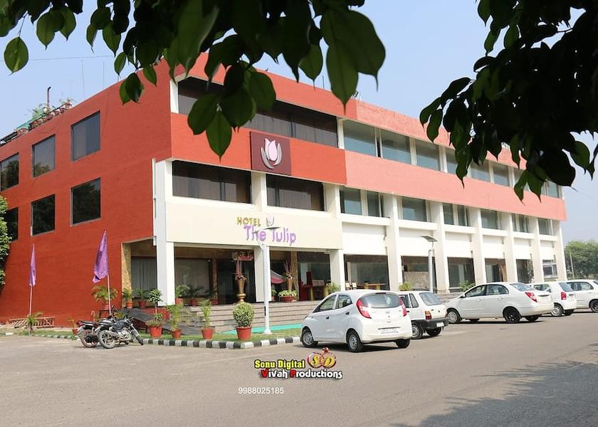 Punjab Chandigarh 