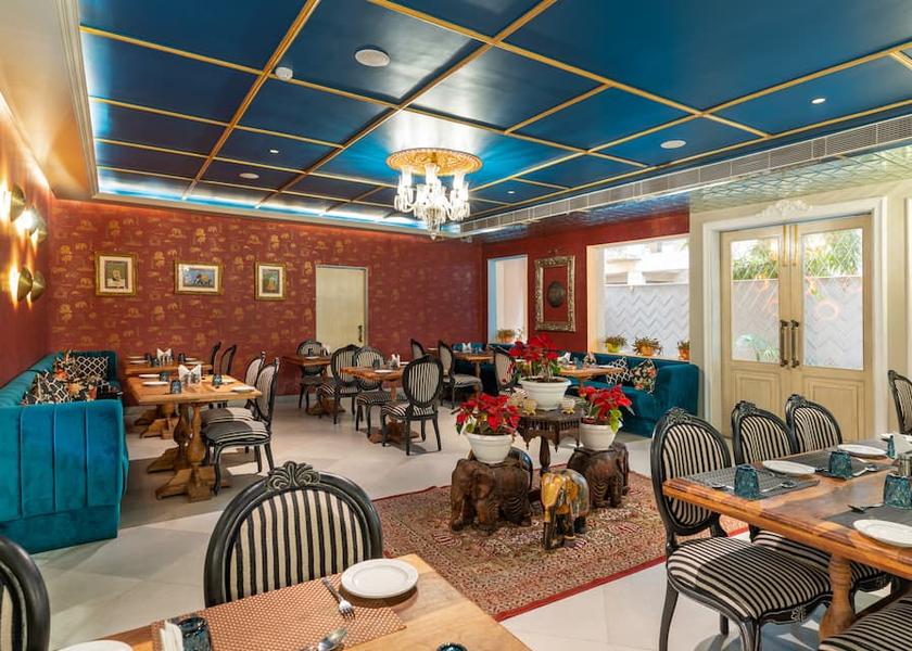 Rajasthan Udaipur Food & Dining
