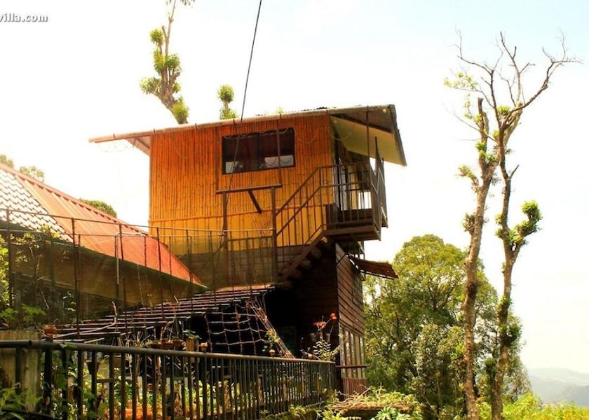 Kerala Munnar Room