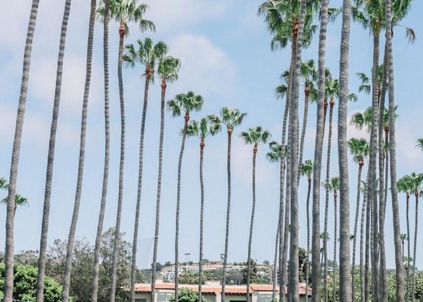 California La Jolla Property entrance