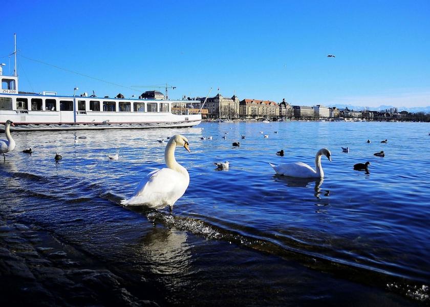 Canton of Zurich Zurich Beach