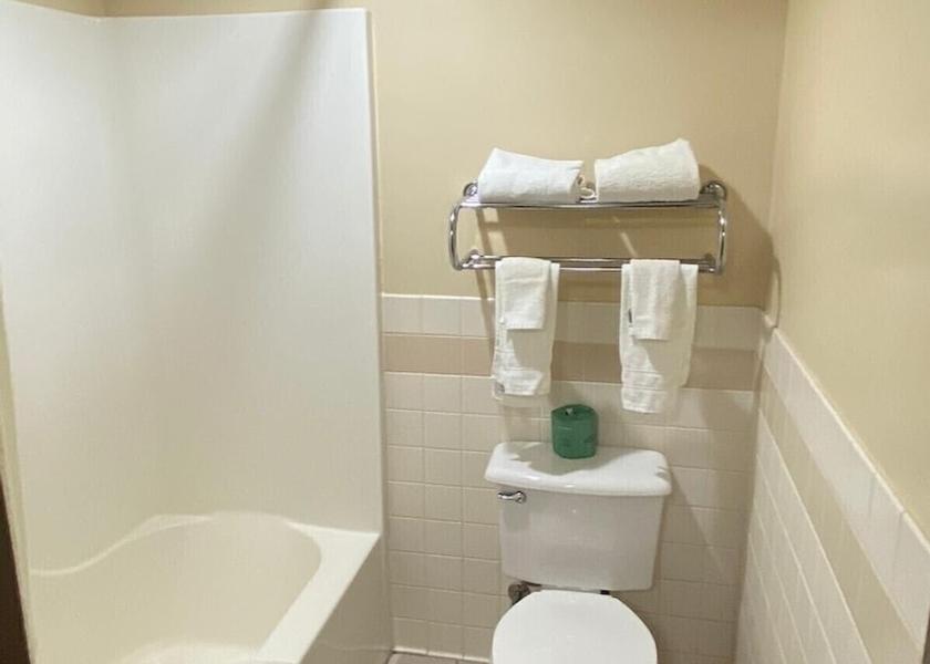 Iowa Peosta Bathroom