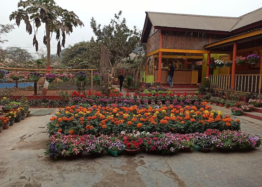 Assam Guwahati Garden