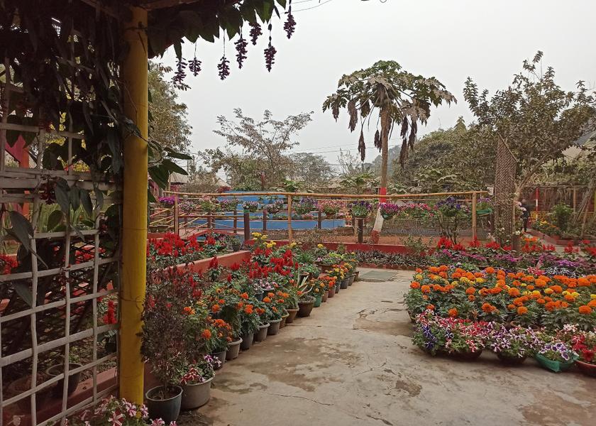 Assam Guwahati Outdoors