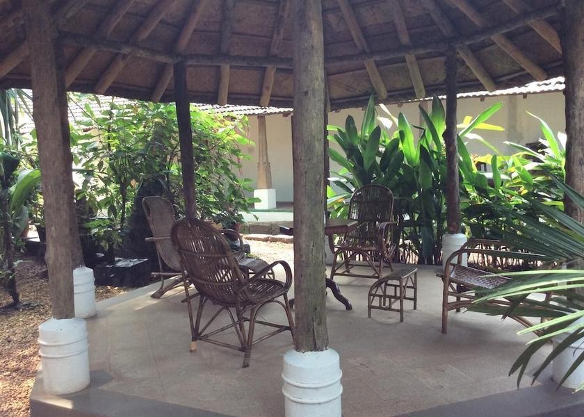 Kerala Kochi Terrace/patio
