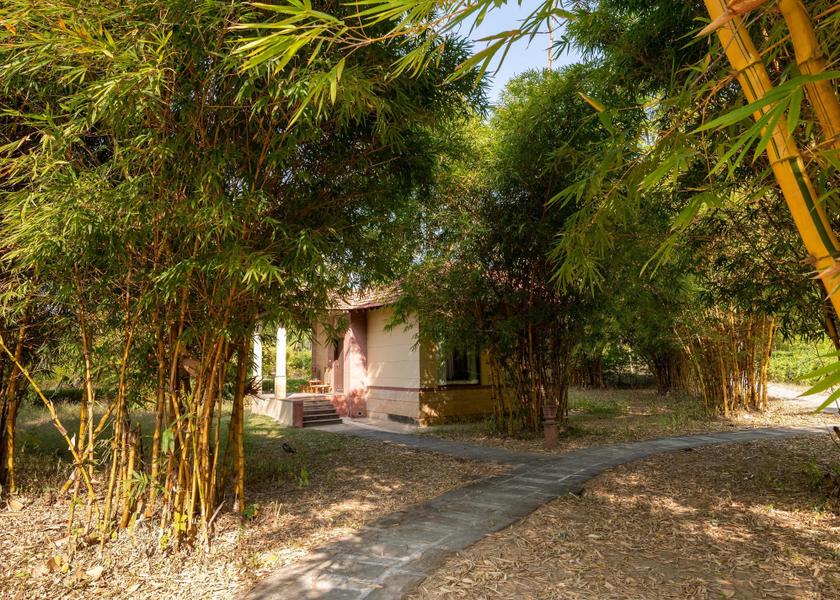 Madhya Pradesh Kanha Facade