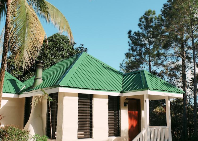 Cayo Mountain Pine Ridge Room