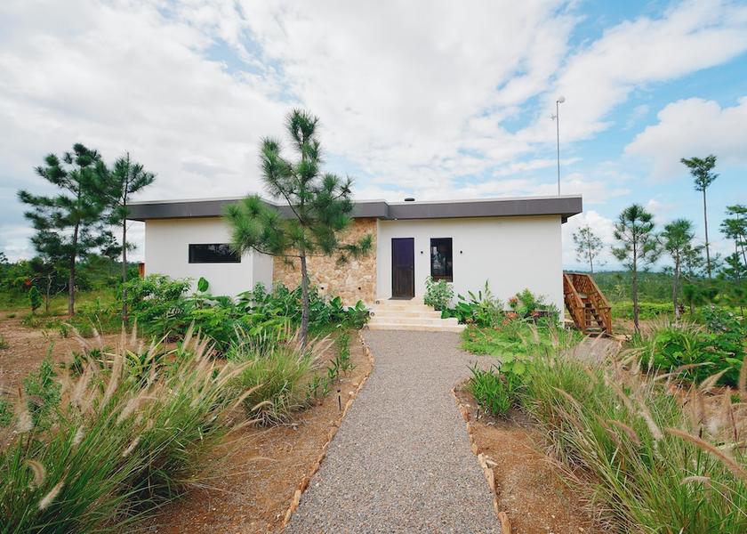 Cayo Mountain Pine Ridge Room