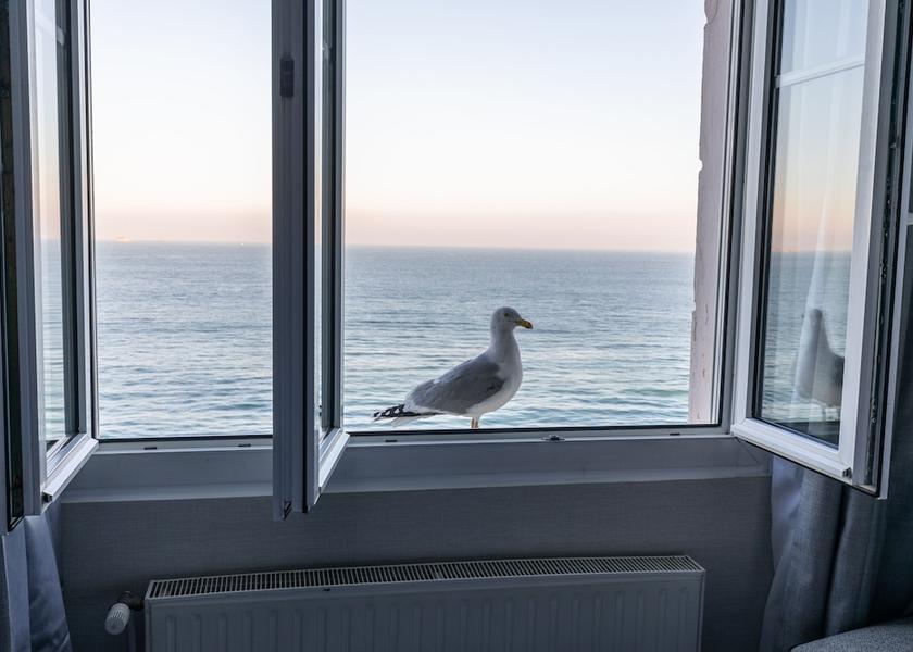 Brittany Saint-Malo View From Room